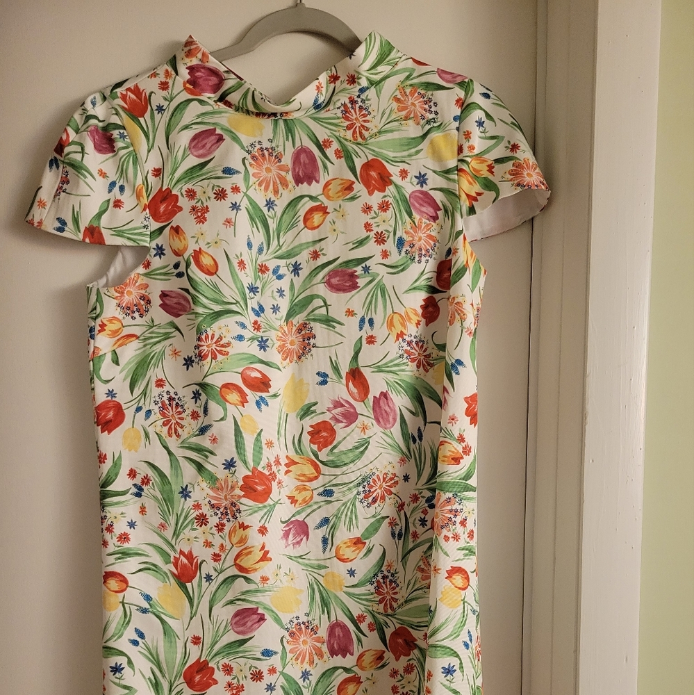 Molly Moorkamp Dodie Shift Dress size 4